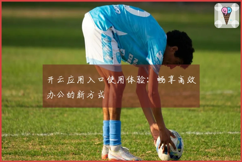 开云应用入口使用体验：畅享高效办公的新方式