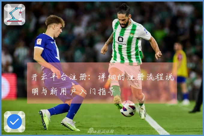 开云平台注册：详细的注册流程说明与新用户入门指导
