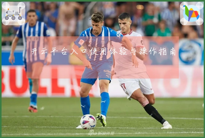 开云平台入口使用体验与操作指南